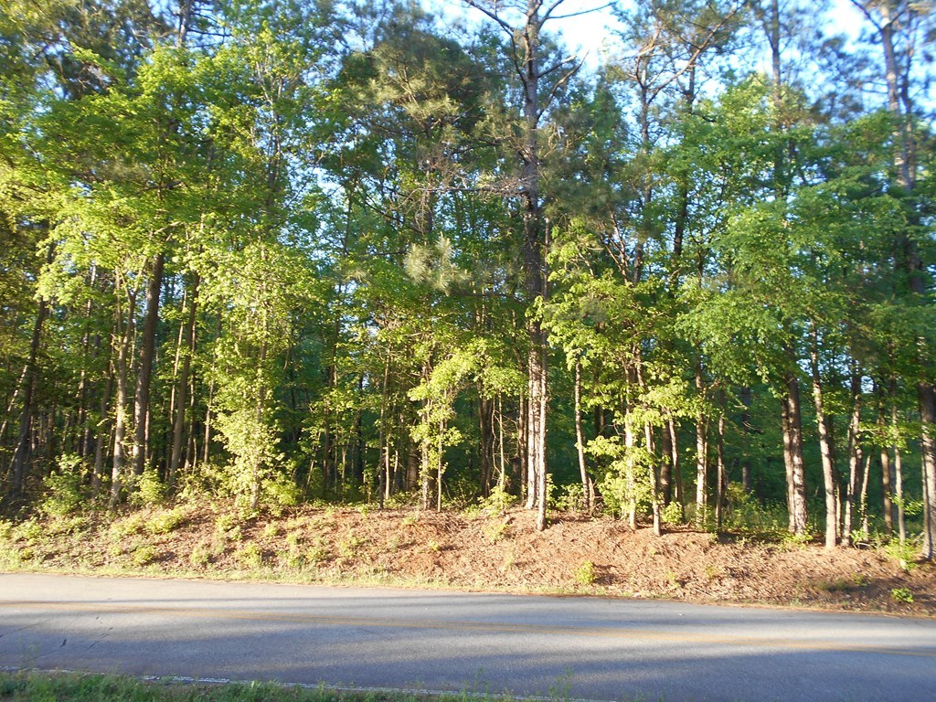 0 Edge Road, Unit 1 Forsyth, GA 31029 - Photo 2 of 2 a view of a yard with large trees