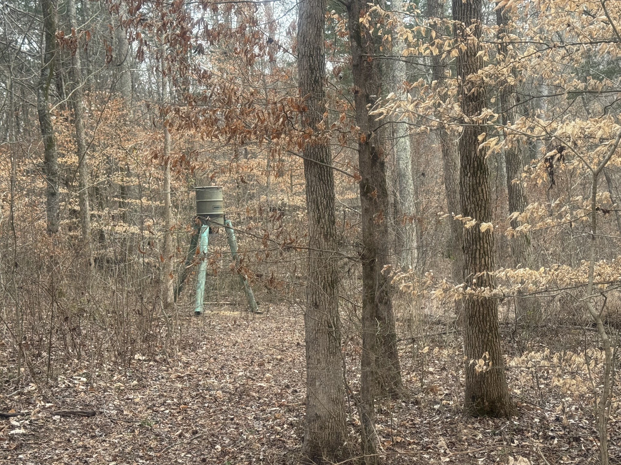 323 Graham Road Cumberland City, TN 37050 - Photo 11 of 27