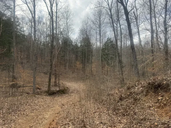 $525,000 | 323 Graham Road, Cumberland City, TN 37050