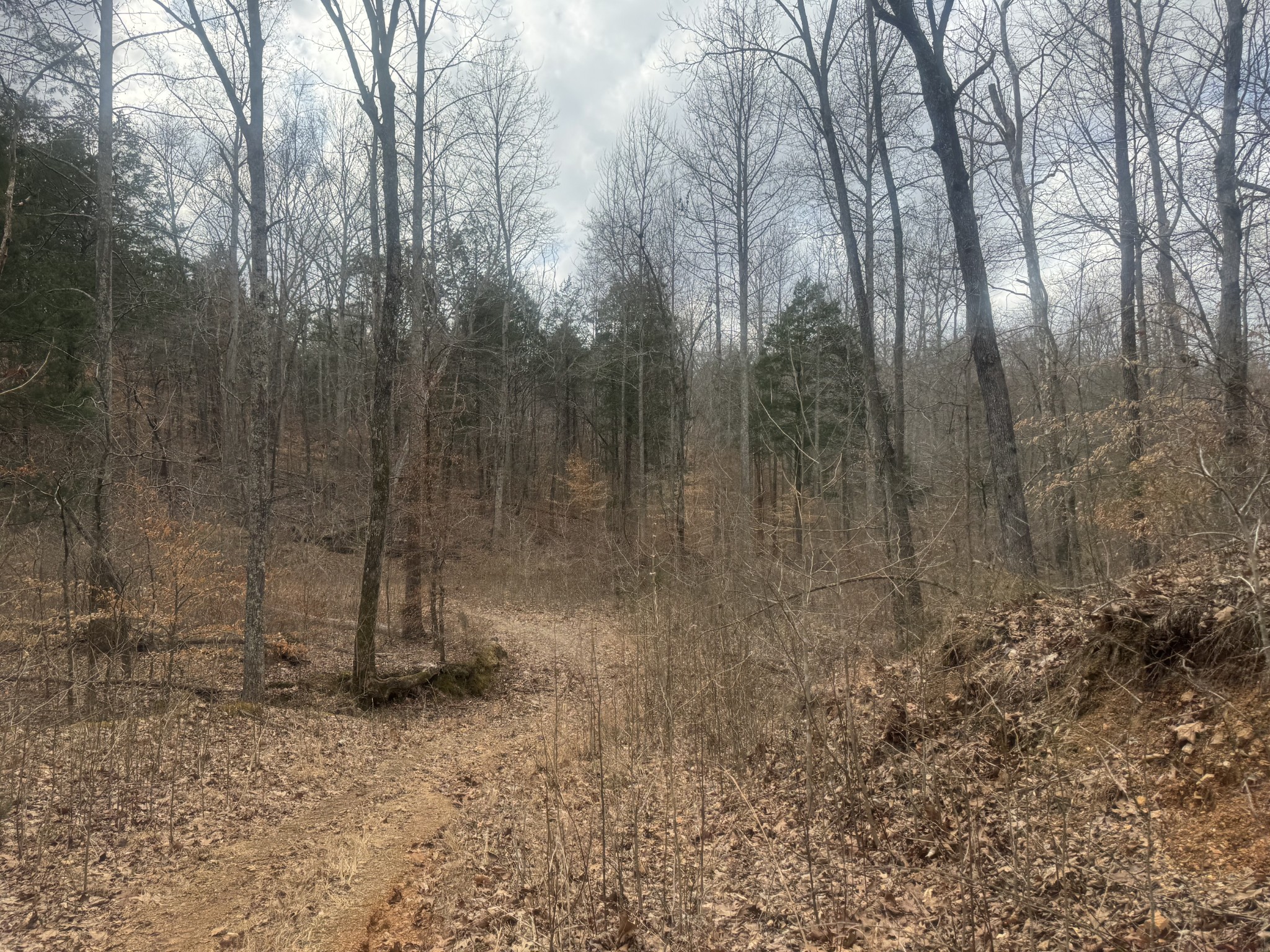 323 Graham Road Cumberland City, TN 37050 - Photo 12 of 27