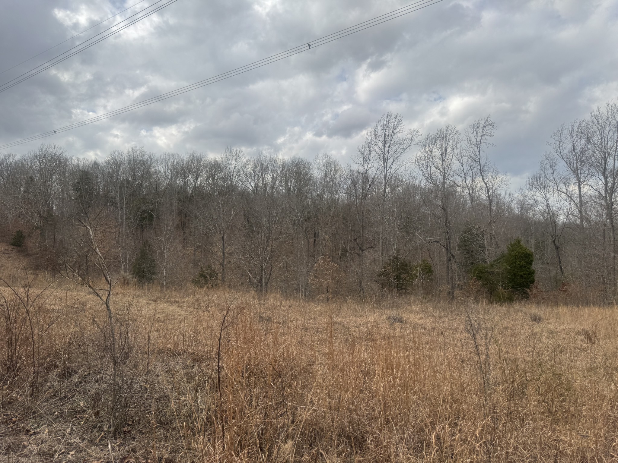 323 Graham Road Cumberland City, TN 37050 - Photo 15 of 27