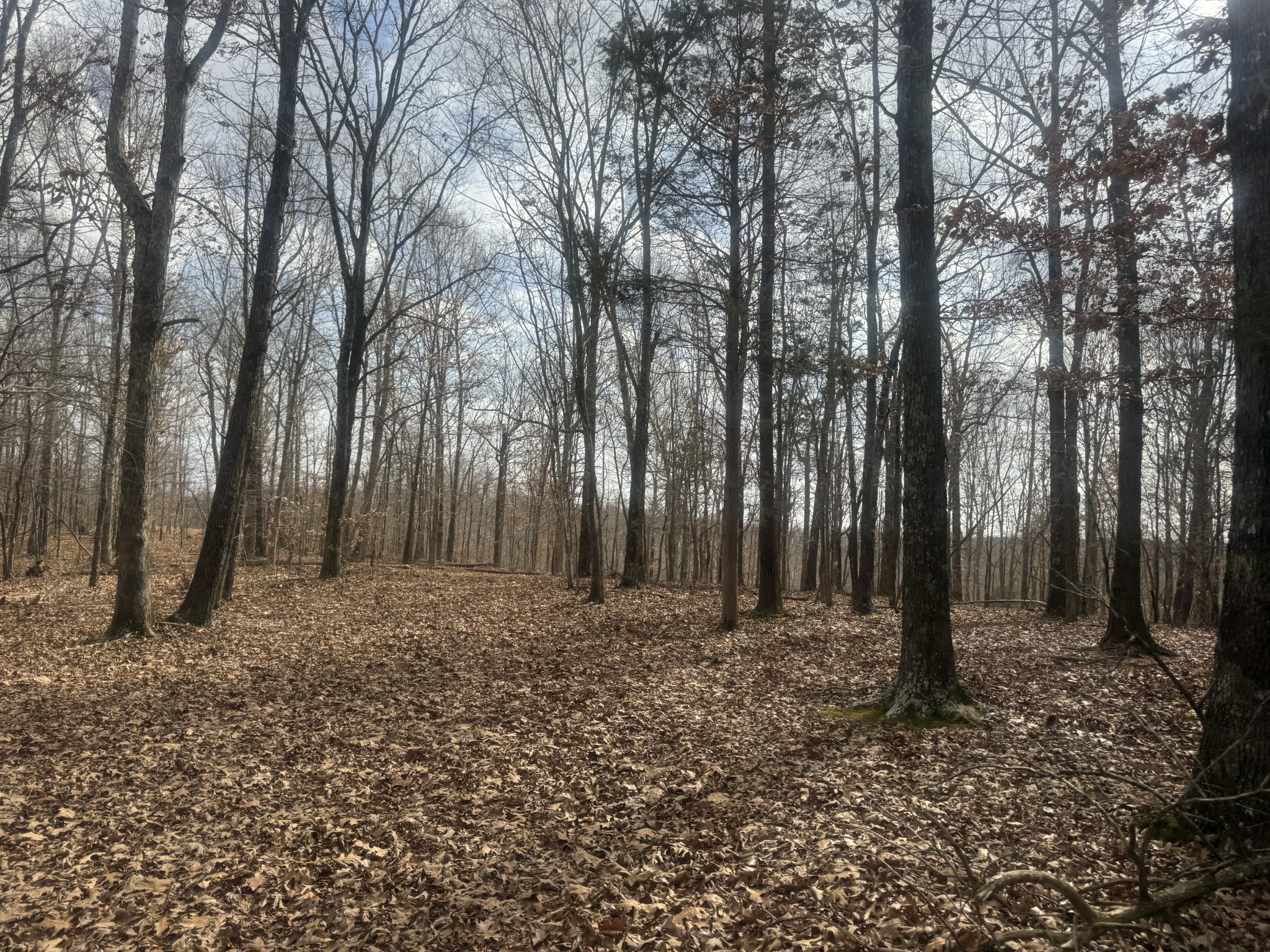 323 Graham Road Cumberland City, TN 37050 - Photo 16 of 27