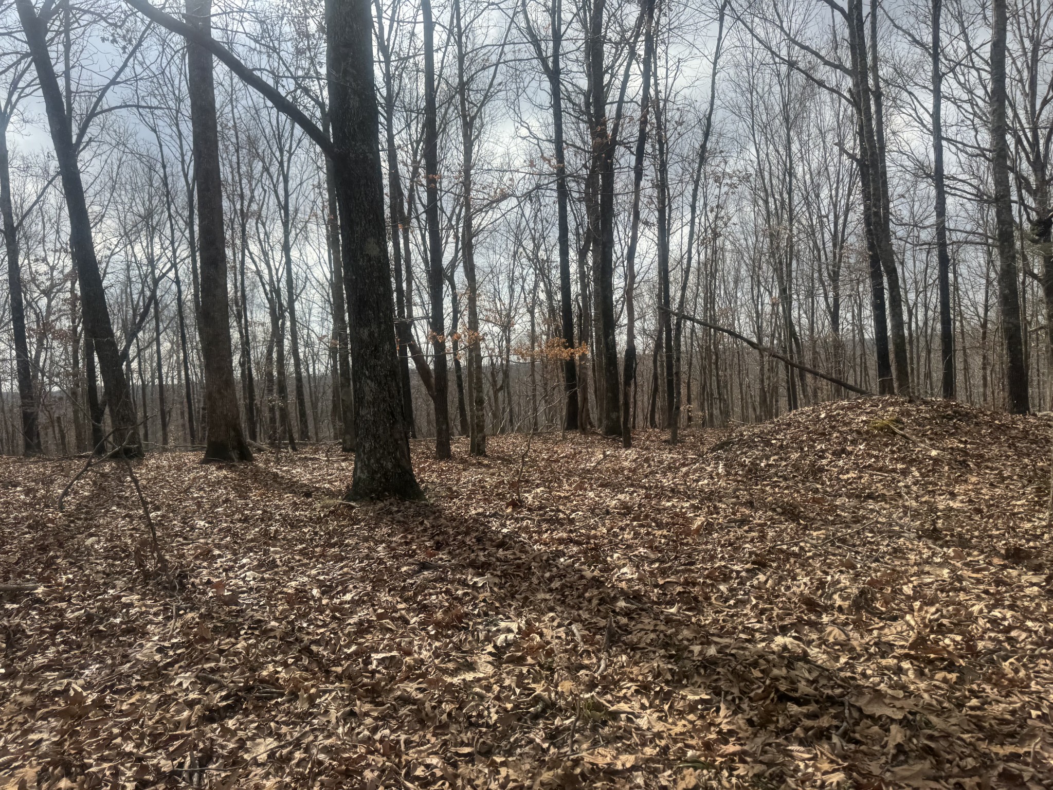 323 Graham Road Cumberland City, TN 37050 - Photo 17 of 27