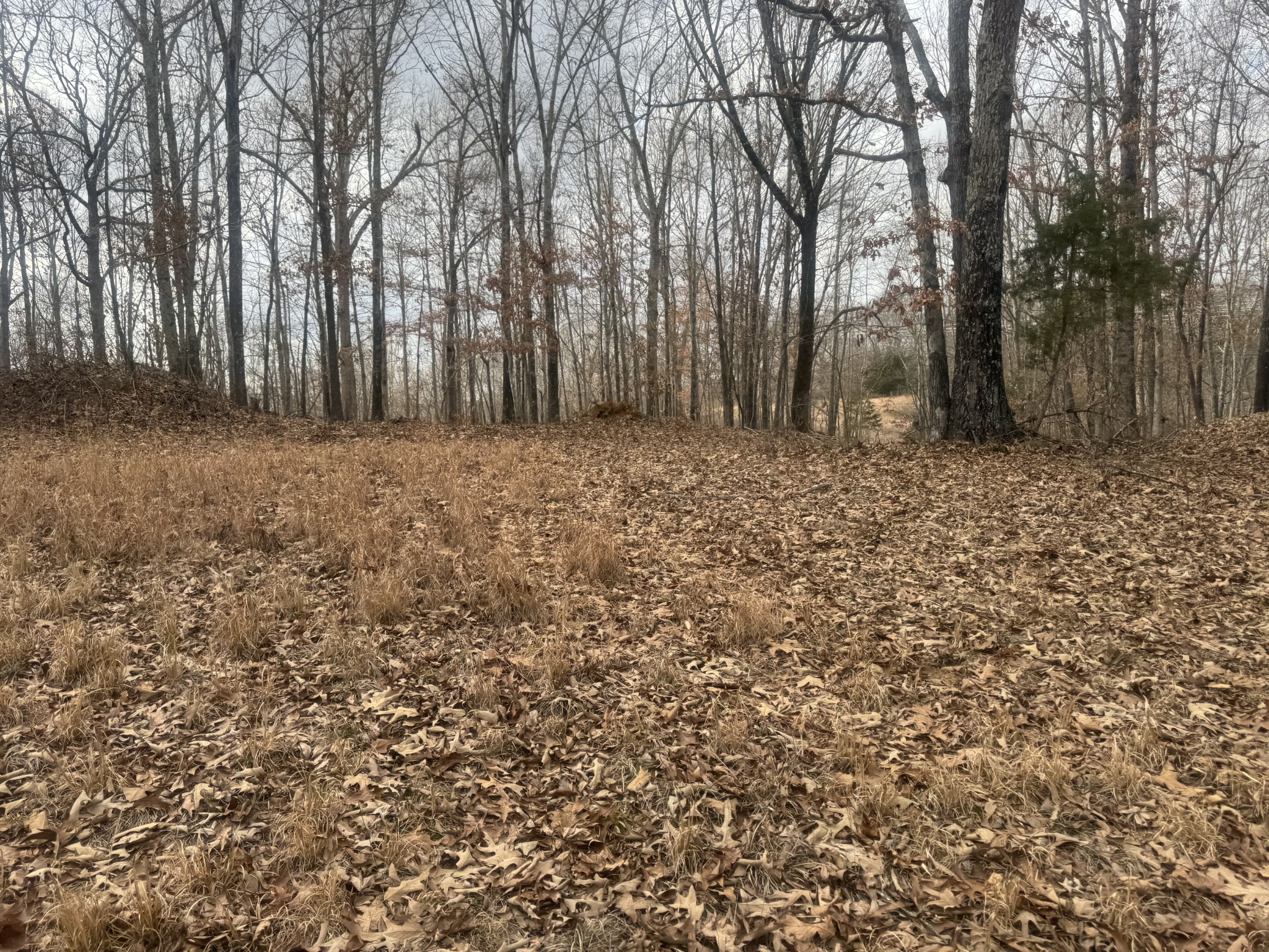 323 Graham Road Cumberland City, TN 37050 - Photo 18 of 27