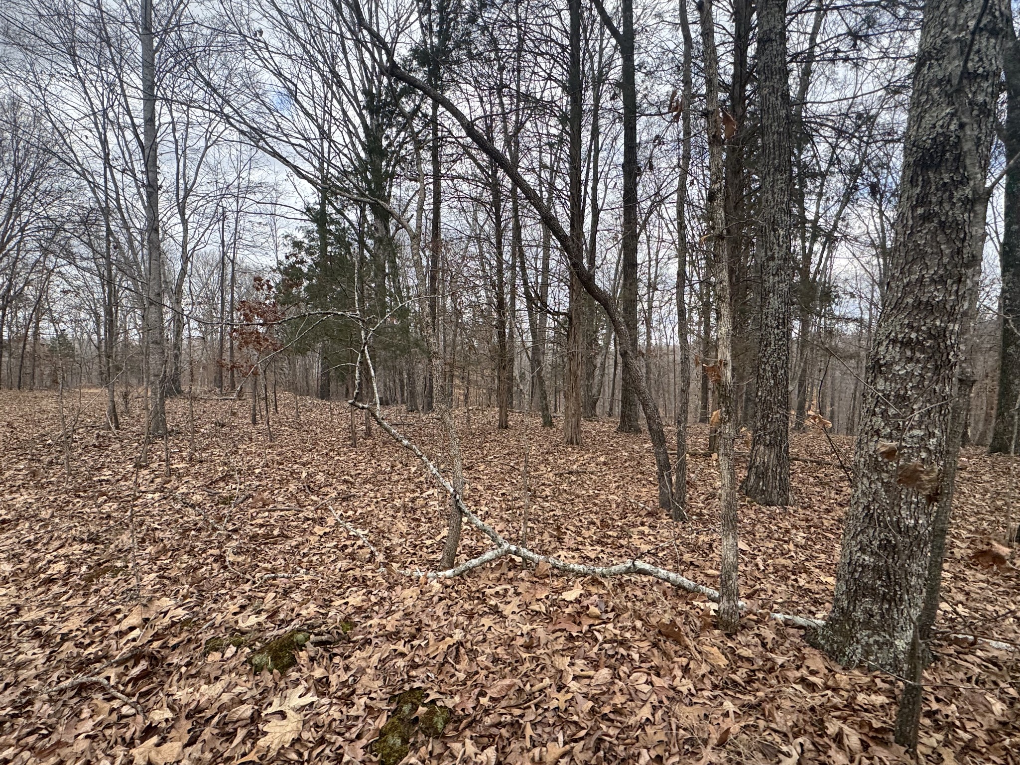 323 Graham Road Cumberland City, TN 37050 - Photo 19 of 27