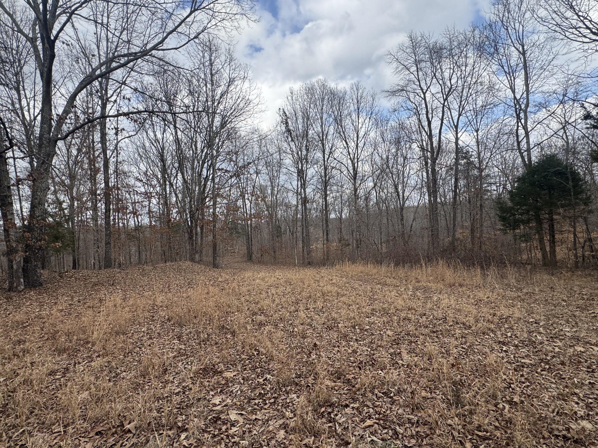 323 Graham Road Cumberland City, TN 37050 - Photo 22 of 27