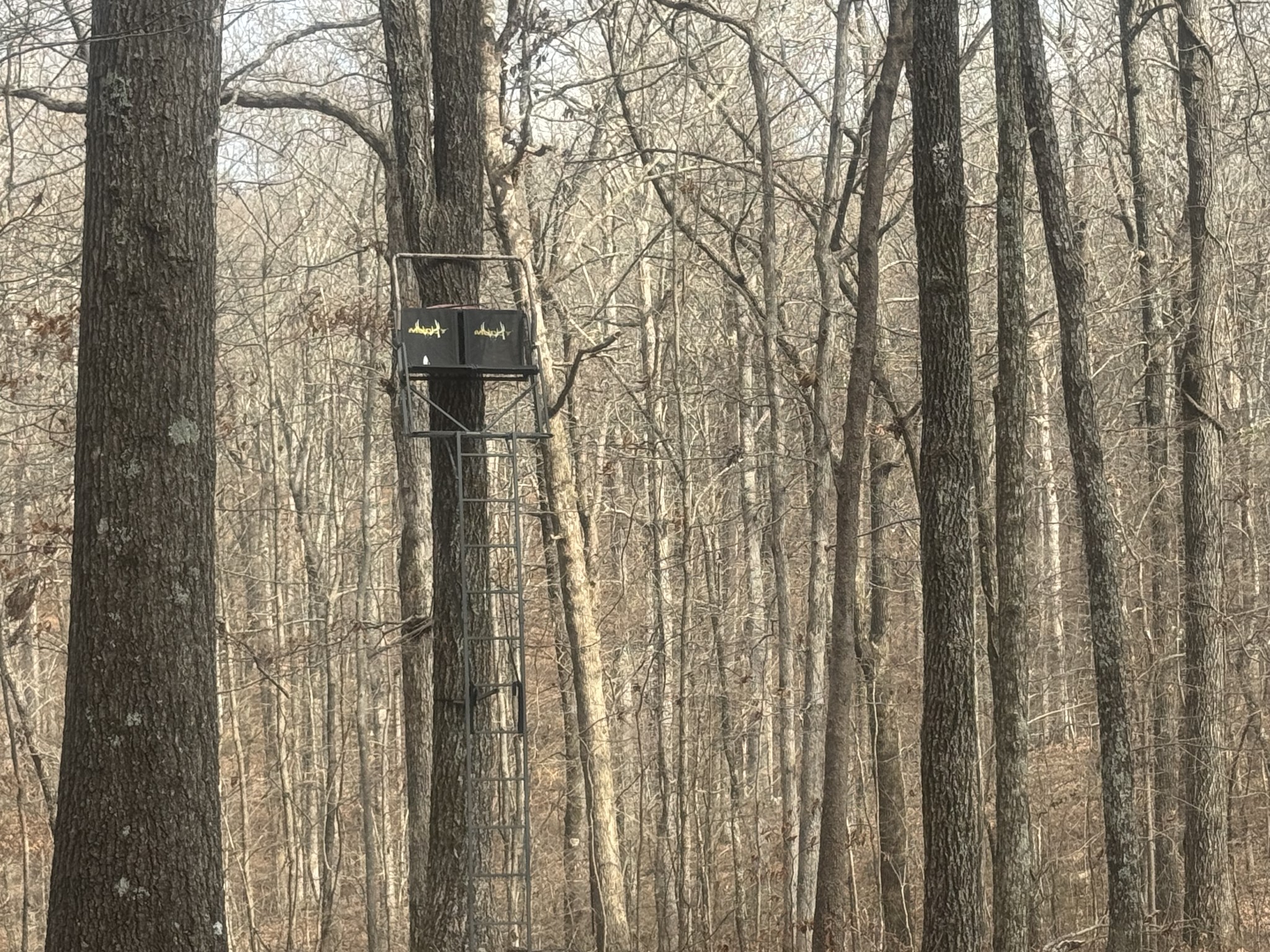 323 Graham Road Cumberland City, TN 37050 - Photo 23 of 27