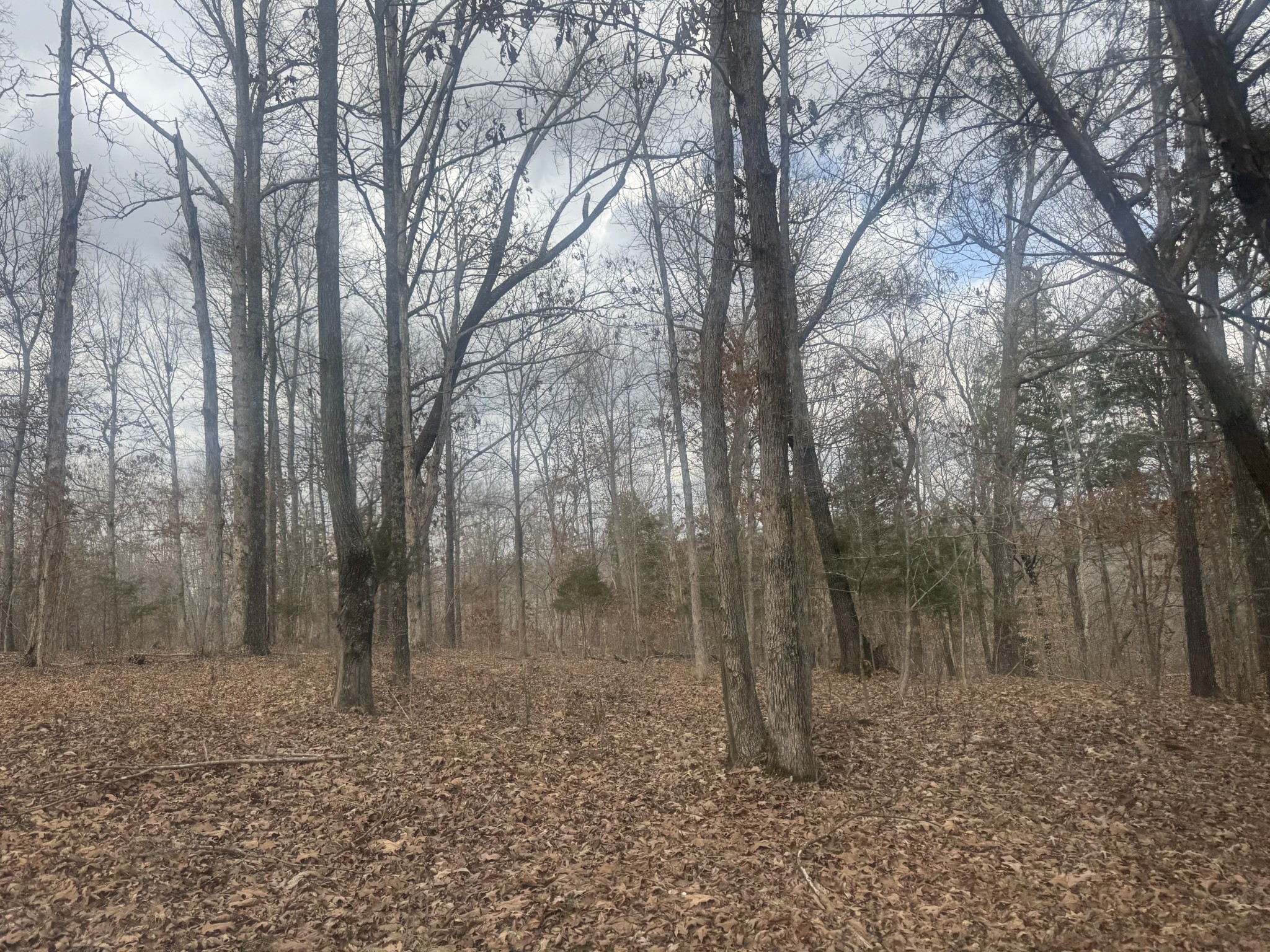 323 Graham Road Cumberland City, TN 37050 - Photo 24 of 27