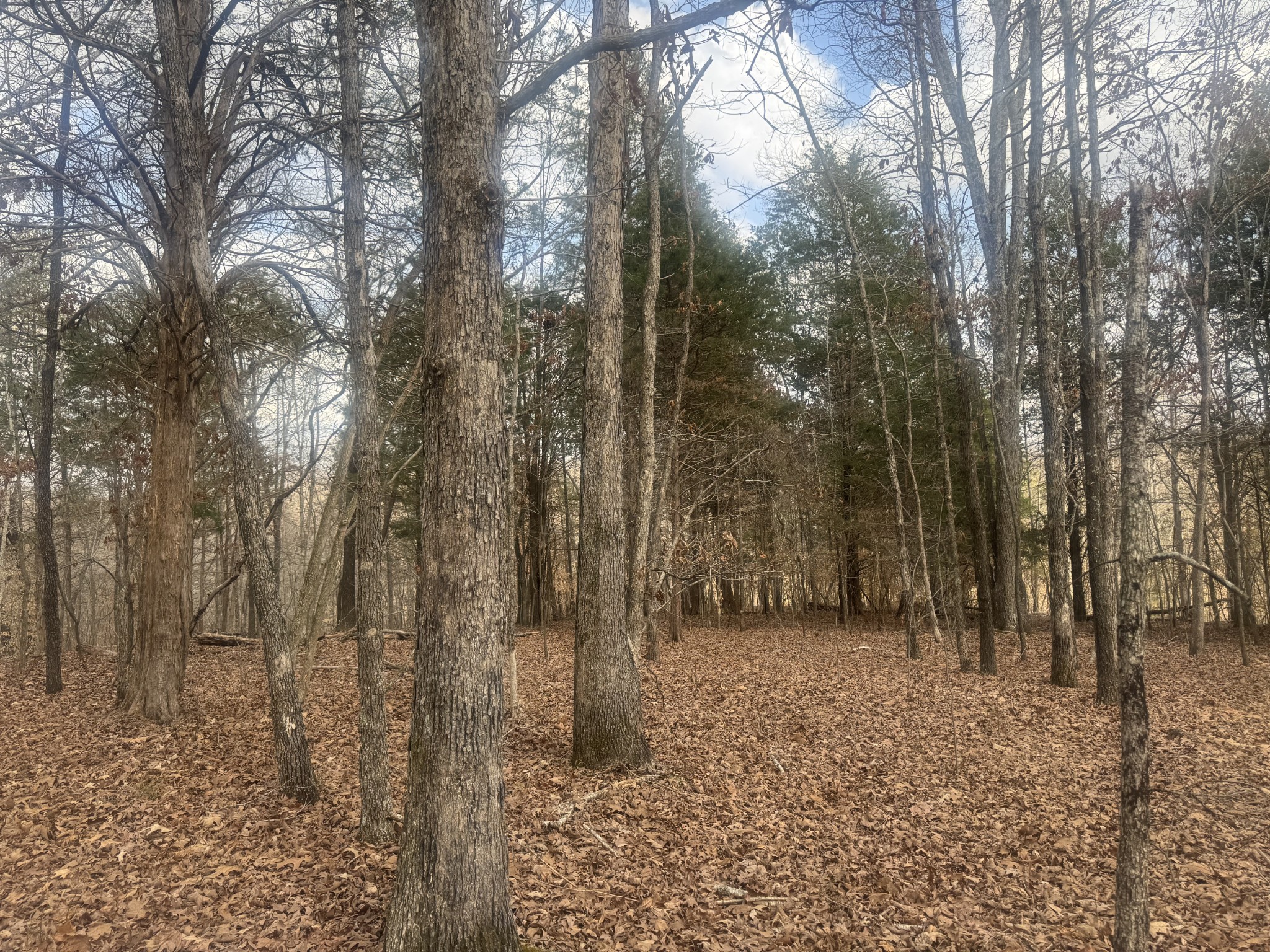 323 Graham Road Cumberland City, TN 37050 - Photo 25 of 27