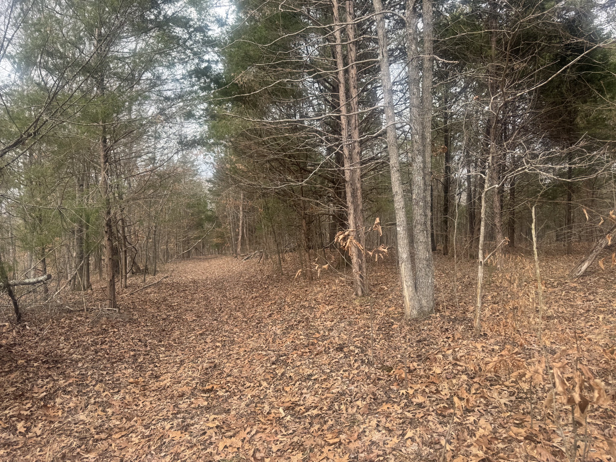 323 Graham Road Cumberland City, TN 37050 - Photo 26 of 27