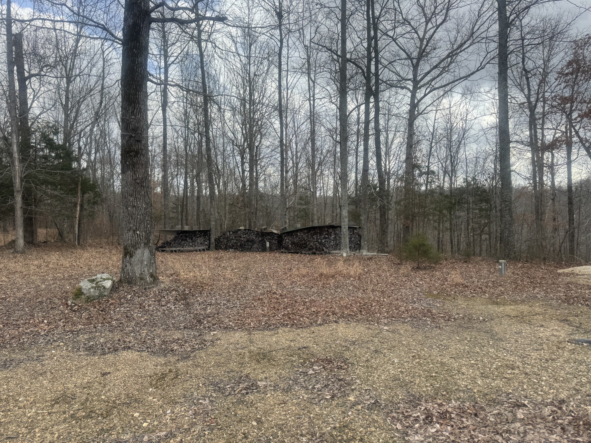 323 Graham Road Cumberland City, TN 37050 - Photo 4 of 27