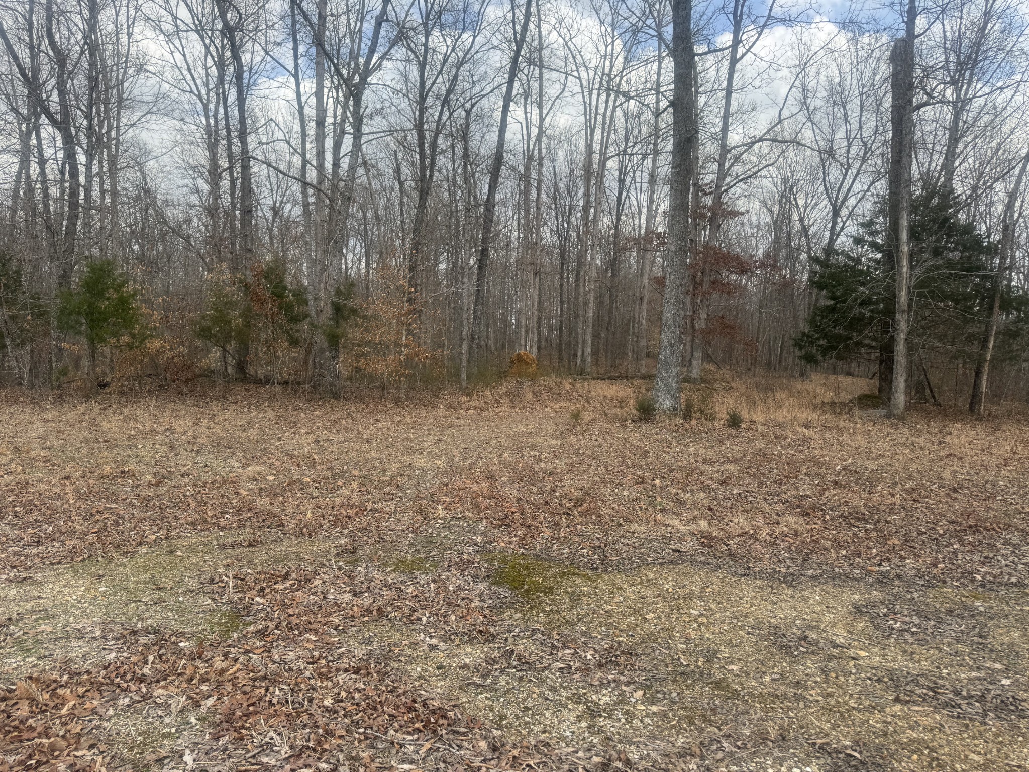 323 Graham Road Cumberland City, TN 37050 - Photo 5 of 27