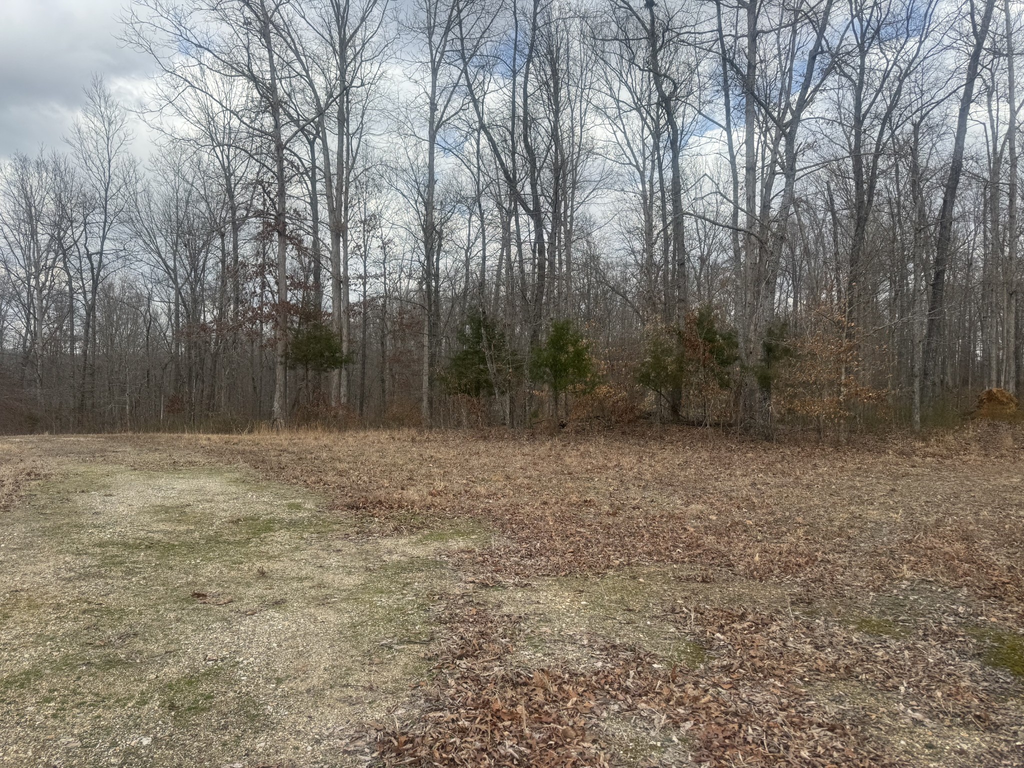 323 Graham Road Cumberland City, TN 37050 - Photo 6 of 27