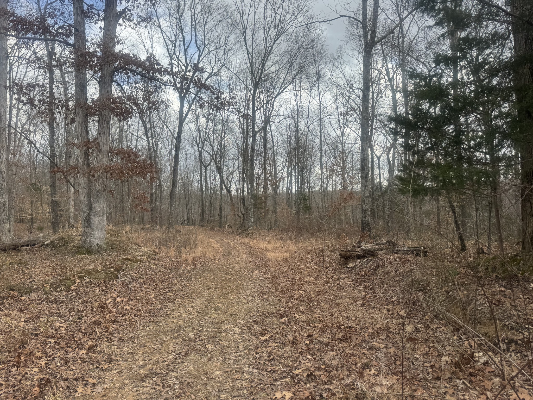 323 Graham Road Cumberland City, TN 37050 - Photo 8 of 27