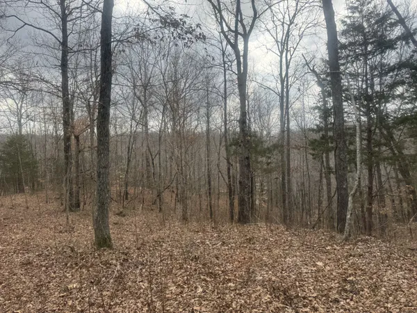 $525,000 | 323 Graham Road, Cumberland City, TN 37050