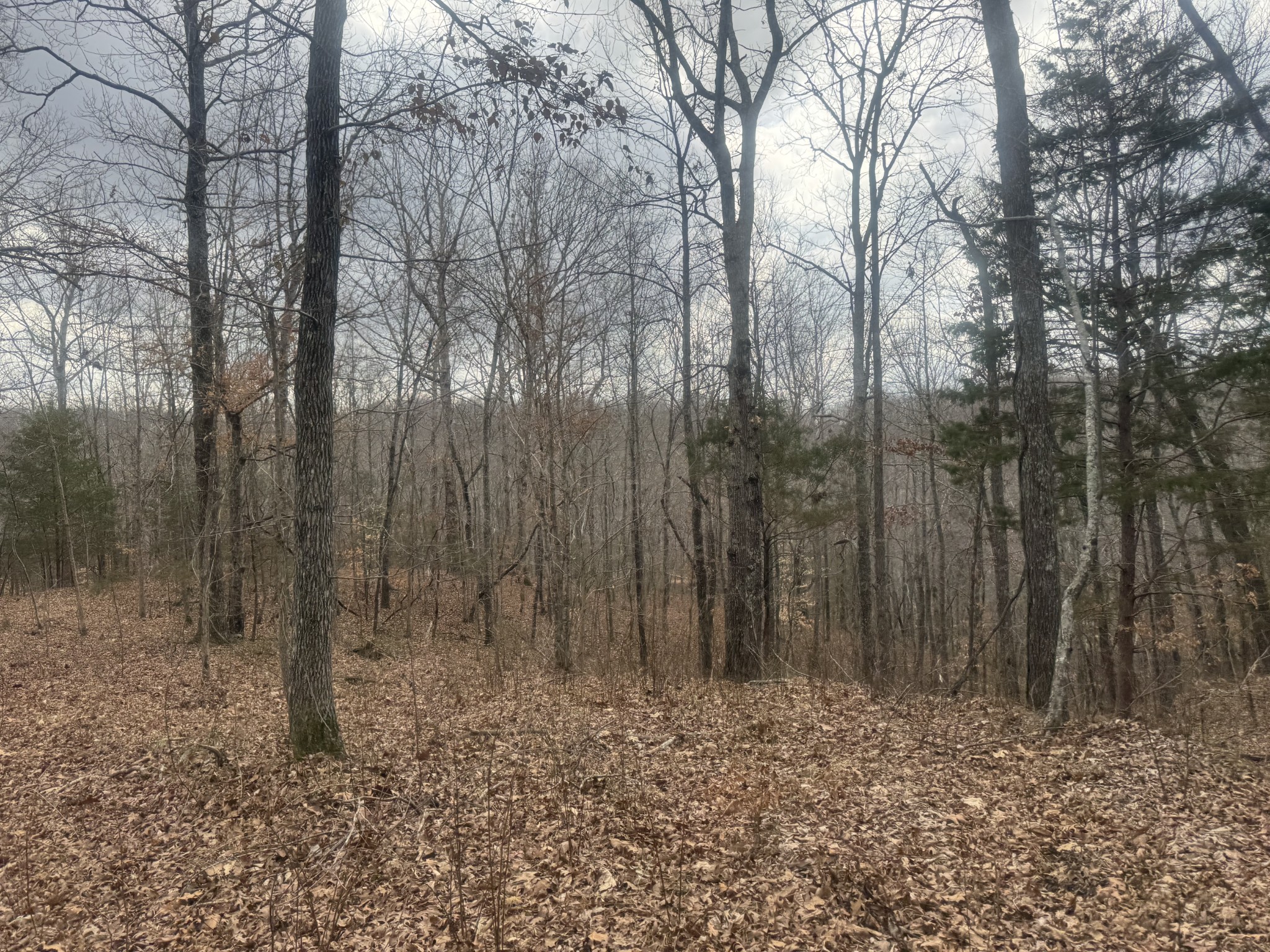 323 Graham Road Cumberland City, TN 37050 - Photo 9 of 27