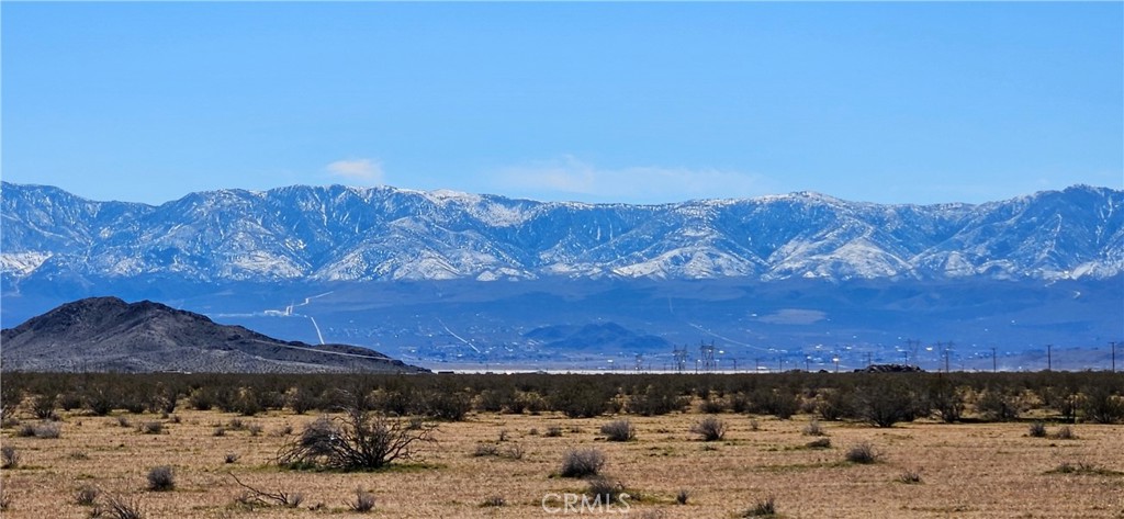 800 Circle C Road Lucerne Valley, CA 92356 - Photo 2 of 7 a view of a yard with a mountain