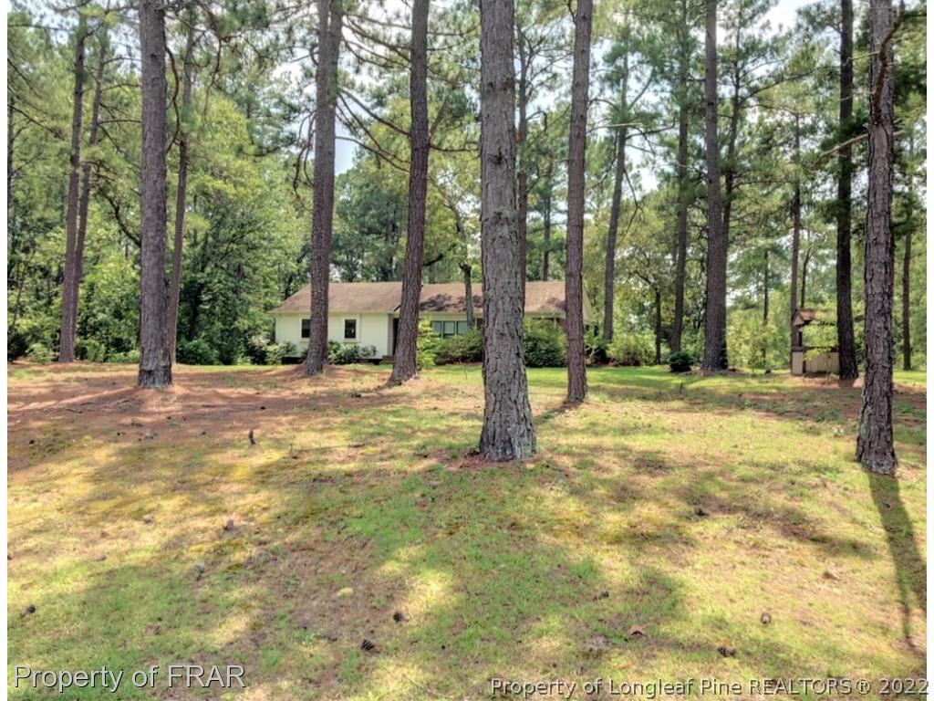 205 Border Lee Farm Road Cameron, NC 28326 - Photo 18 of 20 Gallery Image 18