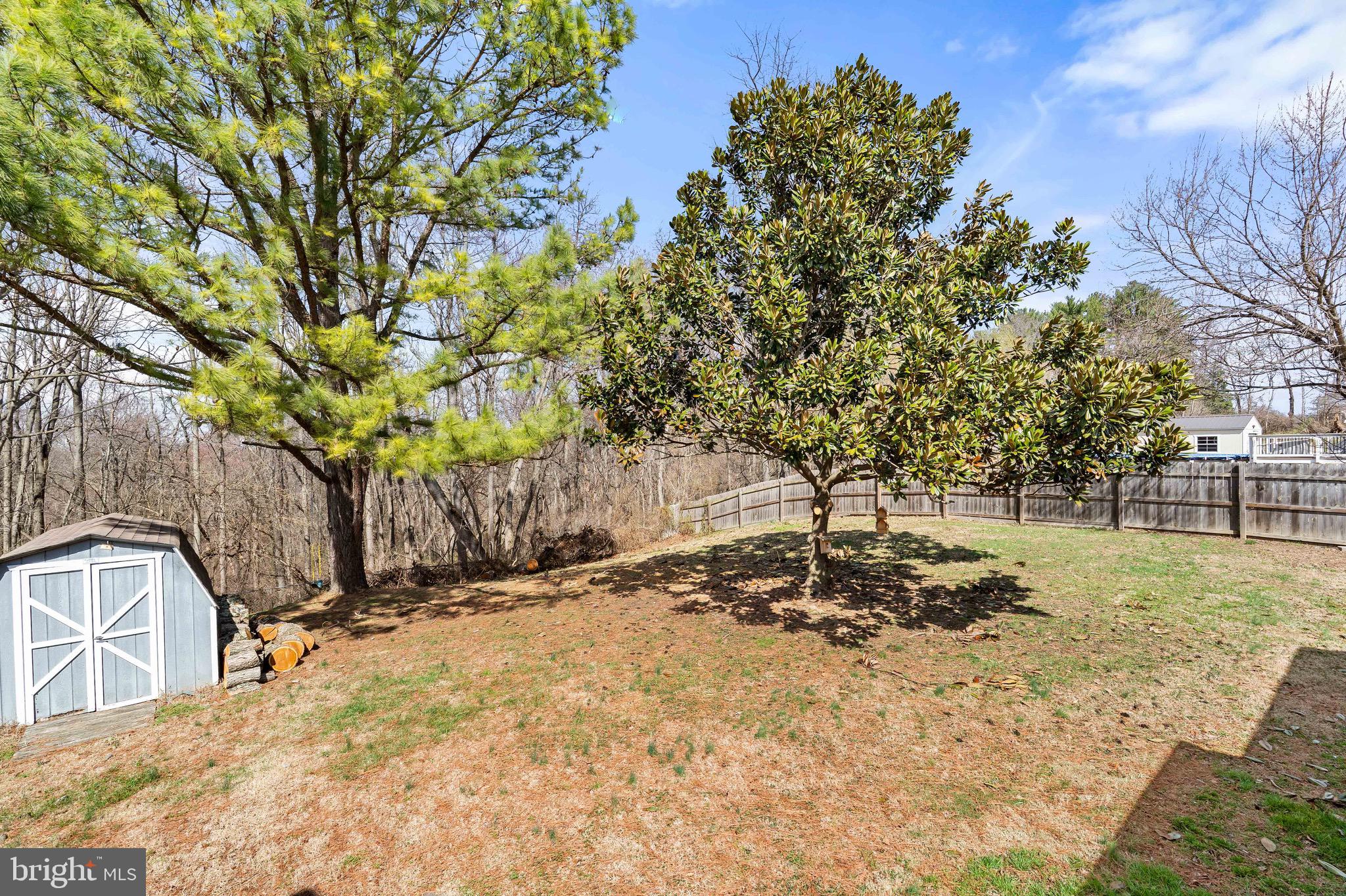 110 White Hall Road Elkton, MD 21921 - Photo 22 of 39 Back yard