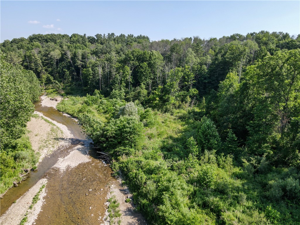 10734 Claybed Road Hume, NY 14735 - Photo 11 of 50