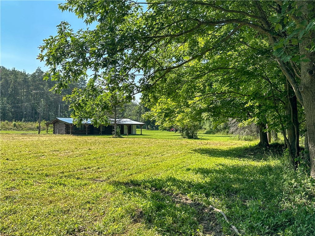 10734 Claybed Road Hume, NY 14735 - Photo 15 of 50