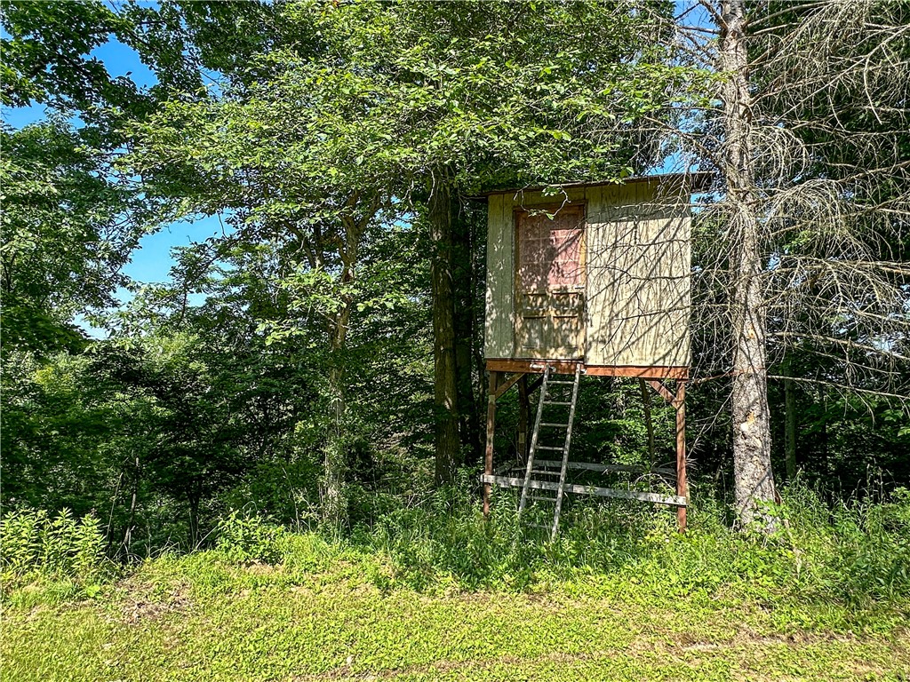 10734 Claybed Road Hume, NY 14735 - Photo 39 of 50