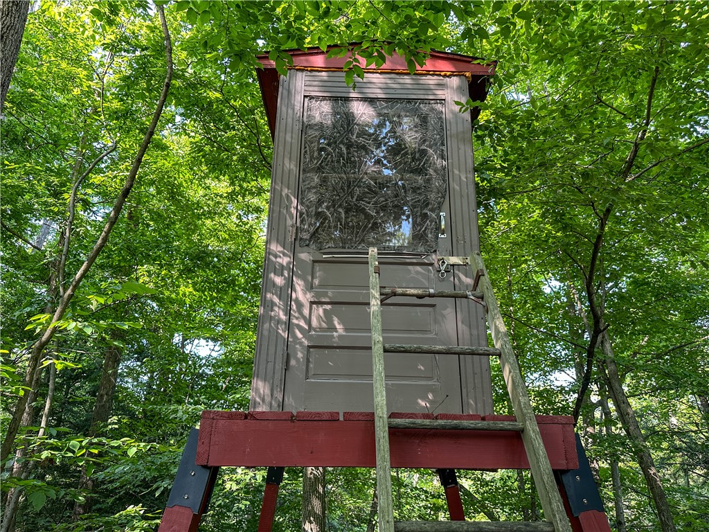 10734 Claybed Road Hume, NY 14735 - Photo 40 of 50