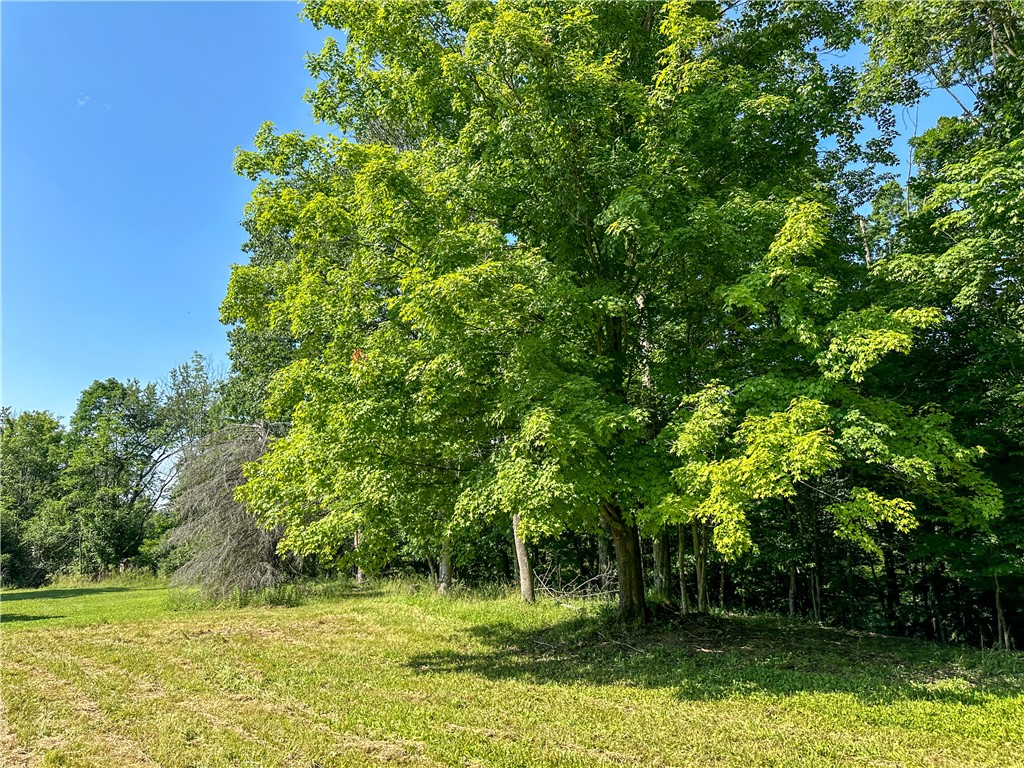 10734 Claybed Road Hume, NY 14735 - Photo 42 of 50