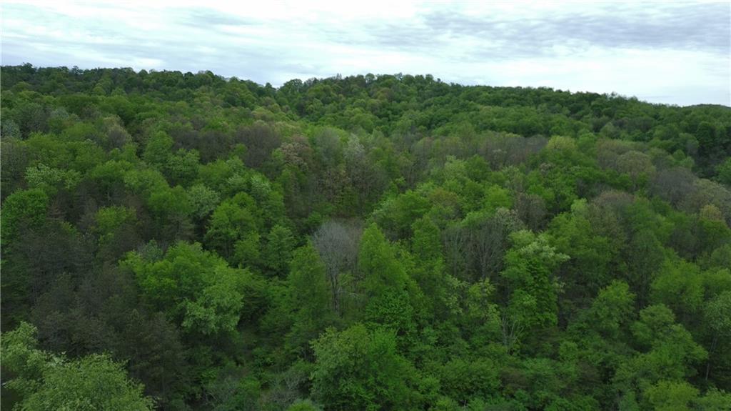 1878 Dime Road Vandergrift, PA 15690 - Photo 2 of 3