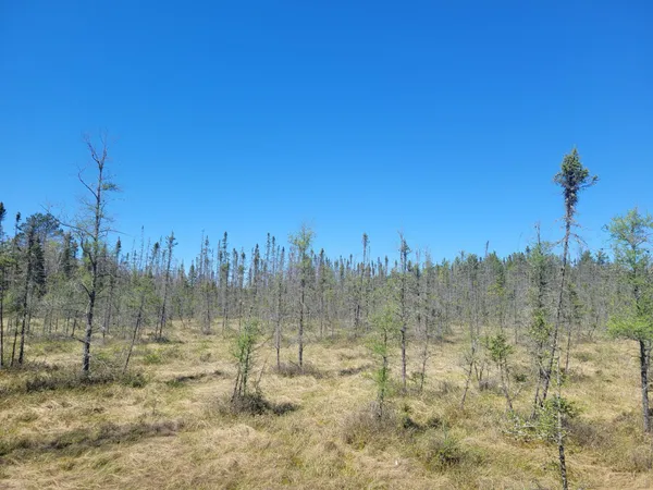 $35,000 | On On Cth G Eagle River, Eagle River, WI 54521