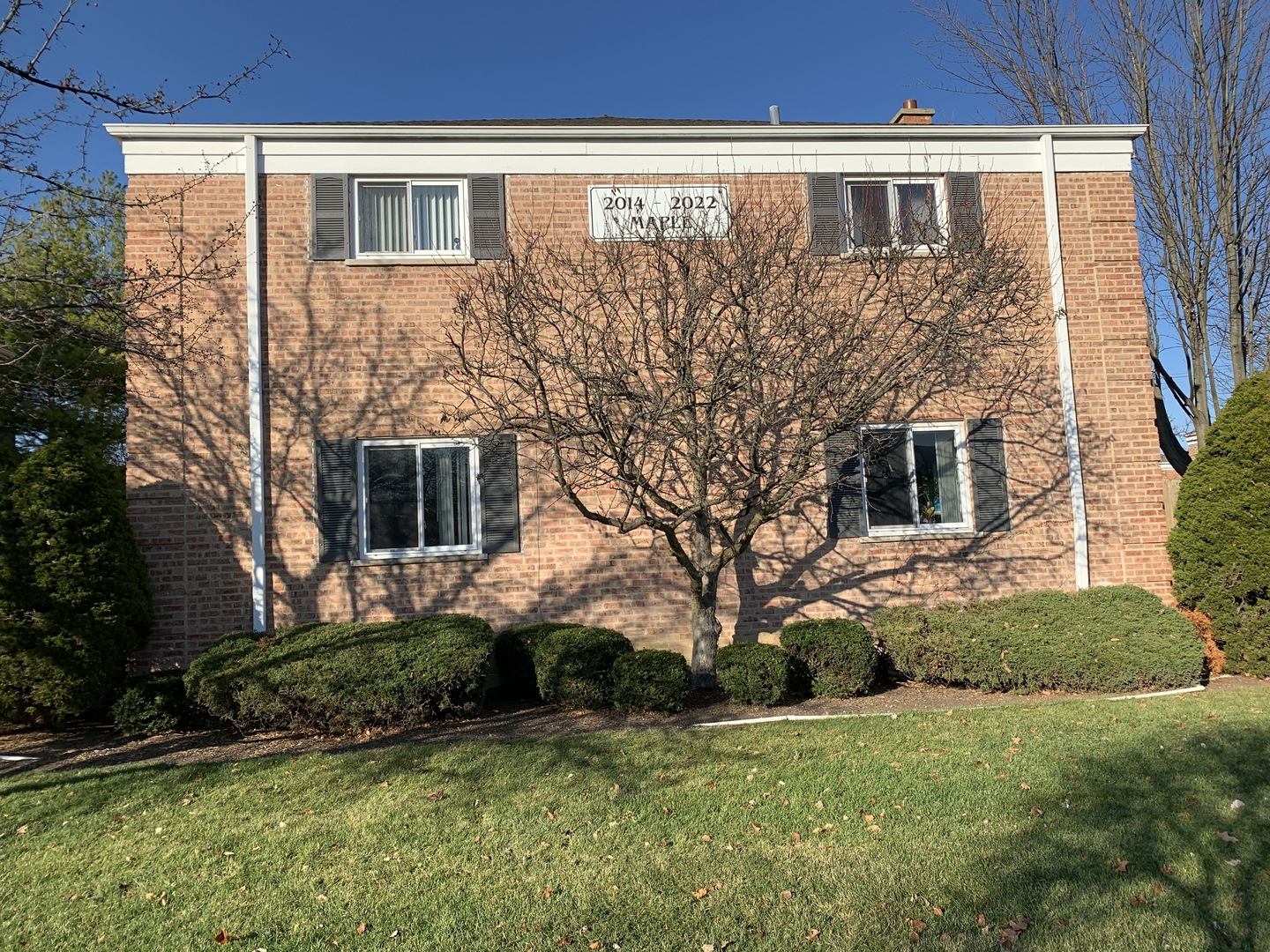 2016 Maple Avenue Northbrook, IL 60062 - Photo 27 of 32 a view of backyard with plants
