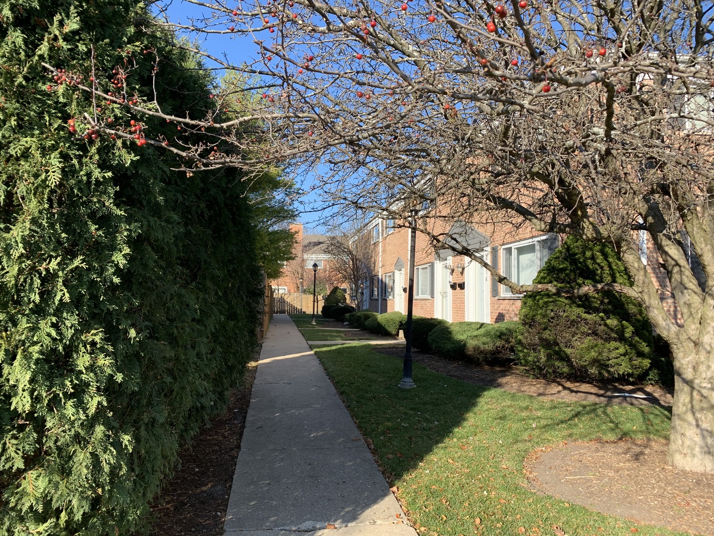 2016 Maple Avenue Northbrook, IL 60062 - Photo 28 of 32 a view of a house with a yard