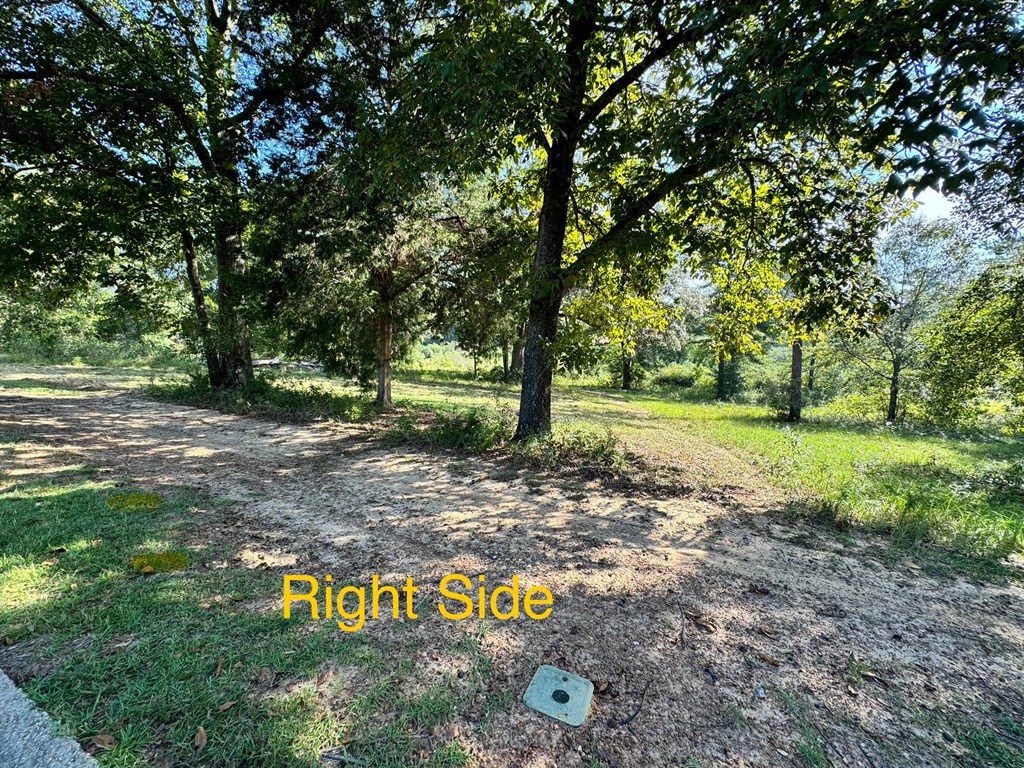 Lot 10 Ridge Drive Headland, AL 36345 - Photo 4 of 5