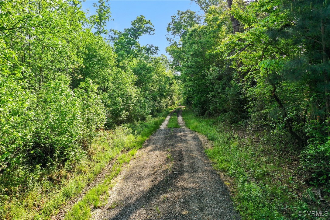 2 East River Road King William, VA 23086 - Photo 2 of 3 Gallery Image 2