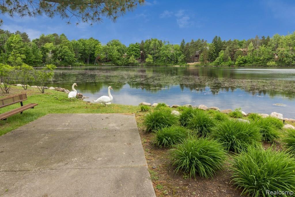 5243 Watergate Road West Bloomfield, MI 48323 - Photo 28 of 35 _MG_0213.jpg