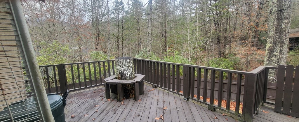 4844 Laurel Mountain Road Hiawassee, GA 30546 - Photo 30 of 48 Gallery Image 30