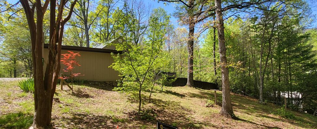 4844 Laurel Mountain Road Hiawassee, GA 30546 - Photo 3 of 48 Gallery Image 3