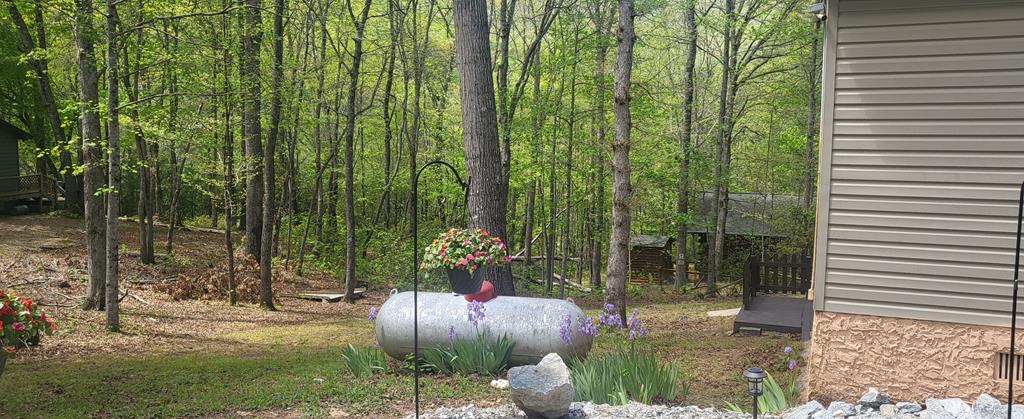4844 Laurel Mountain Road Hiawassee, GA 30546 - Photo 36 of 48 Gallery Image 36