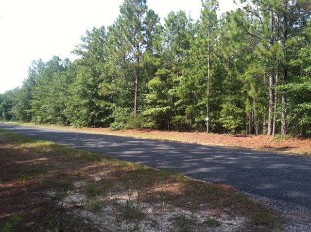 Parcel D Warbonnet Road Salley, SC 29137 - Photo 1 of 3