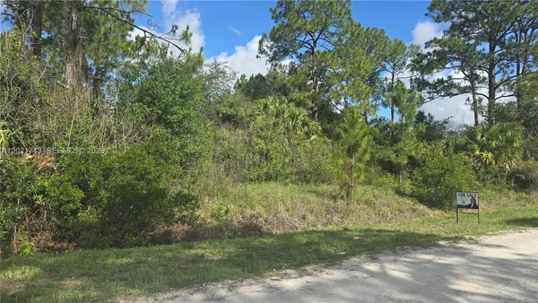 a view of a yard with a tree