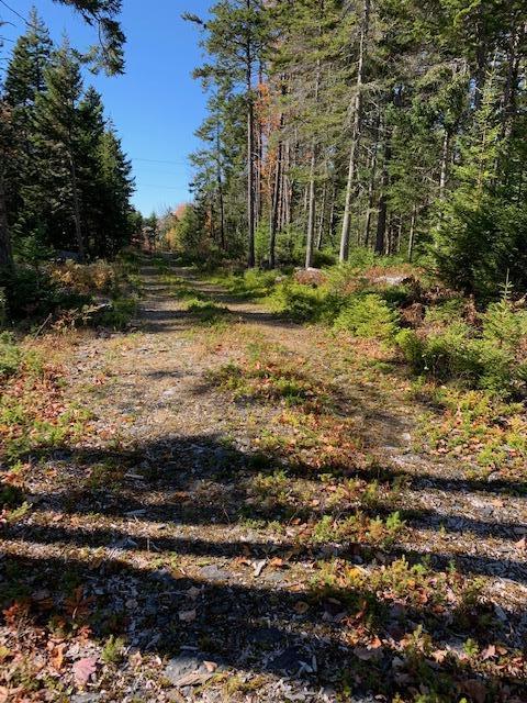 0 Patten Point Road Spruce Head, ME 04859 - Photo 6 of 6 IMG_7878