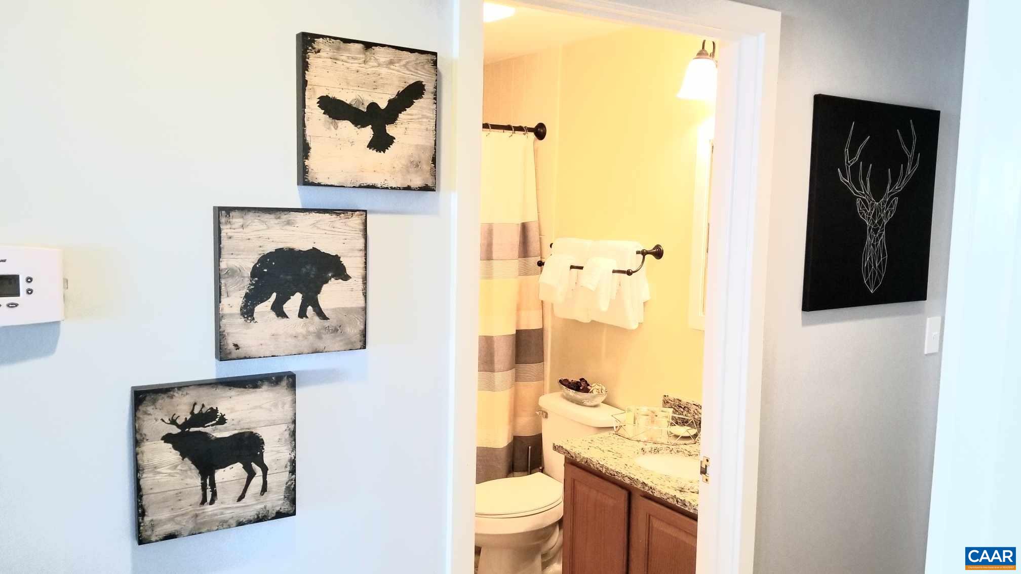 1722 High Ridge Roseland, VA 22967 - Photo 18 of 23 a picture of a bathroom with a painting on the wall and a shower curtain