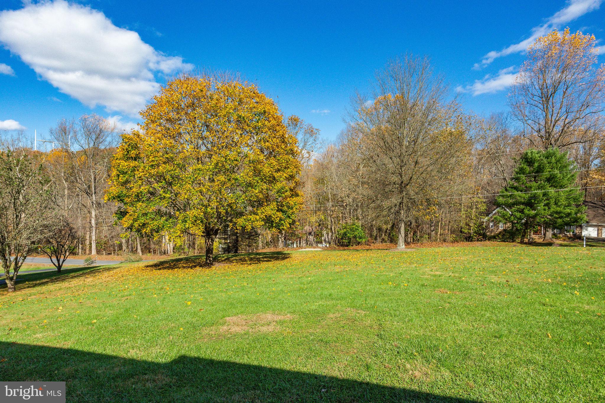 12345 Weller Road Monrovia, MD 21770 - Photo 60 of 78