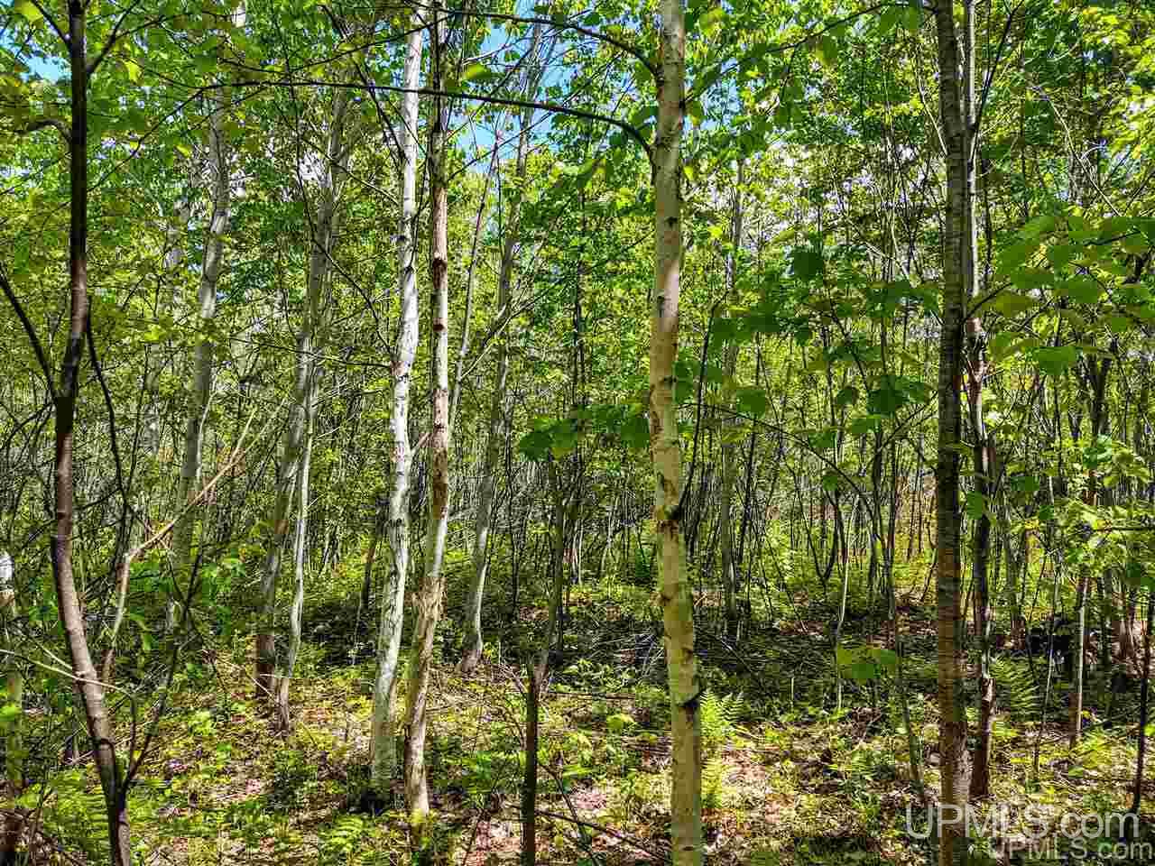 Tbd Co Rd Fp Republic, MI 49879 - Photo 29 of 33