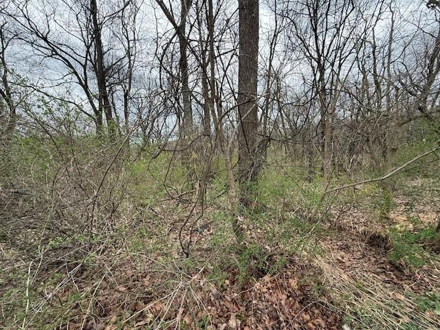 1765 Locust Road Sewickley, PA 15143 - Photo 15 of 19 a view of a yard with a large tree