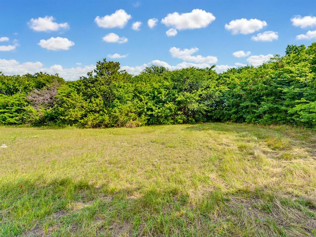 1300 South Trenchard Street Decatur, TX 76234 - Photo 20 of 40 a view of yard with swimming pool and green space