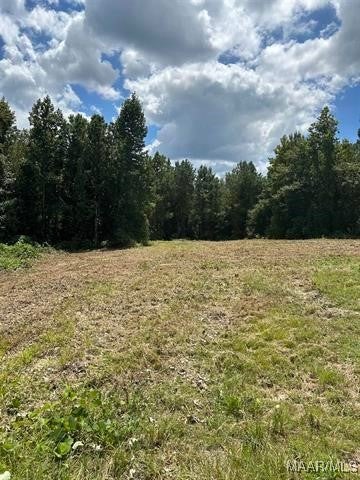 22181 McKenzie Grade Road McKenzie, AL 36456 - Photo 15 of 17 Gallery Image 15