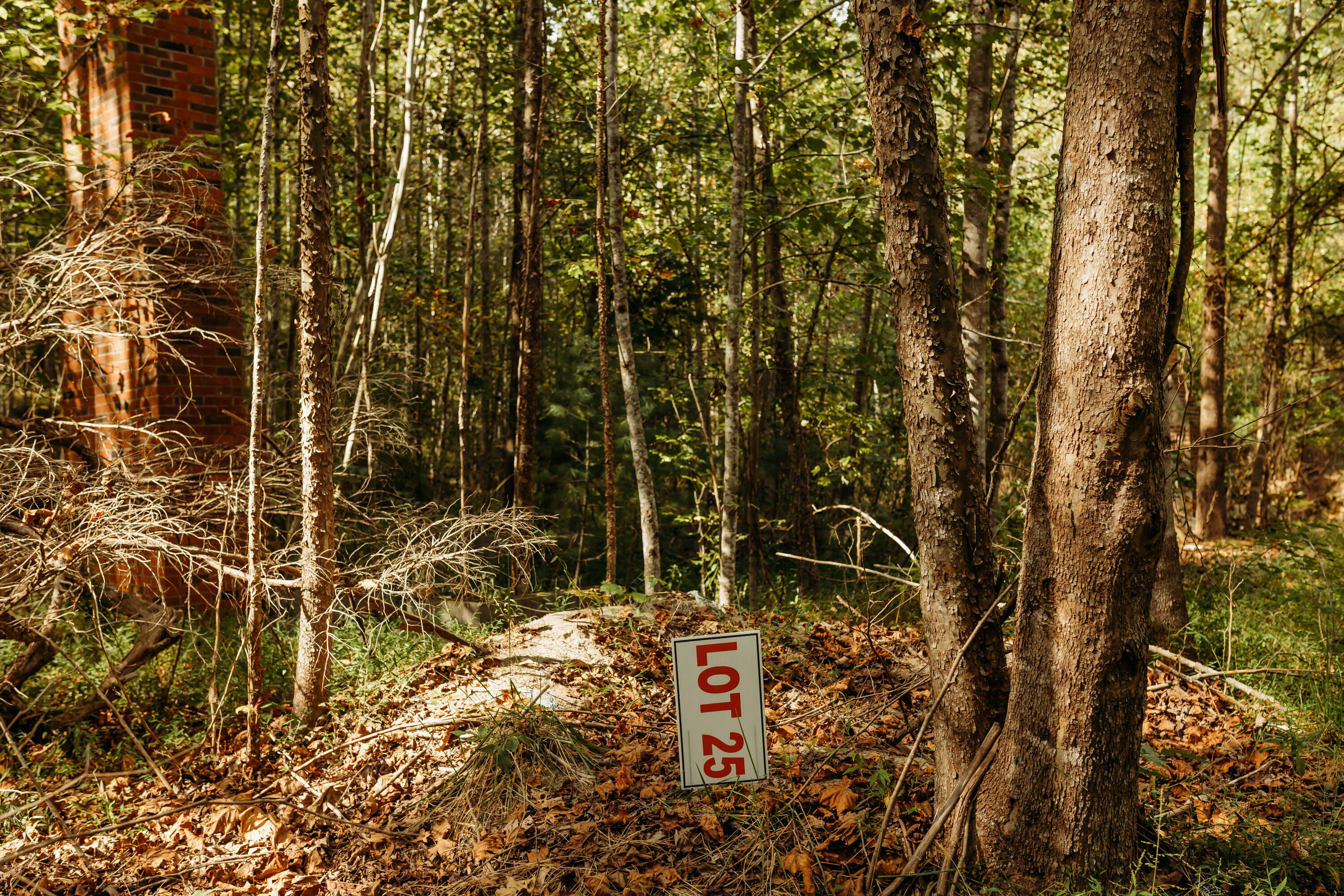 Tbd Lot 25 Tbd Road Campton, KY 41301 - Photo 2 of 17 FO7A1077