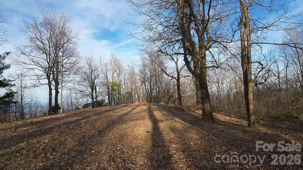 7400 Burkemont Road Morganton, NC 28655 - Photo 4 of 9
