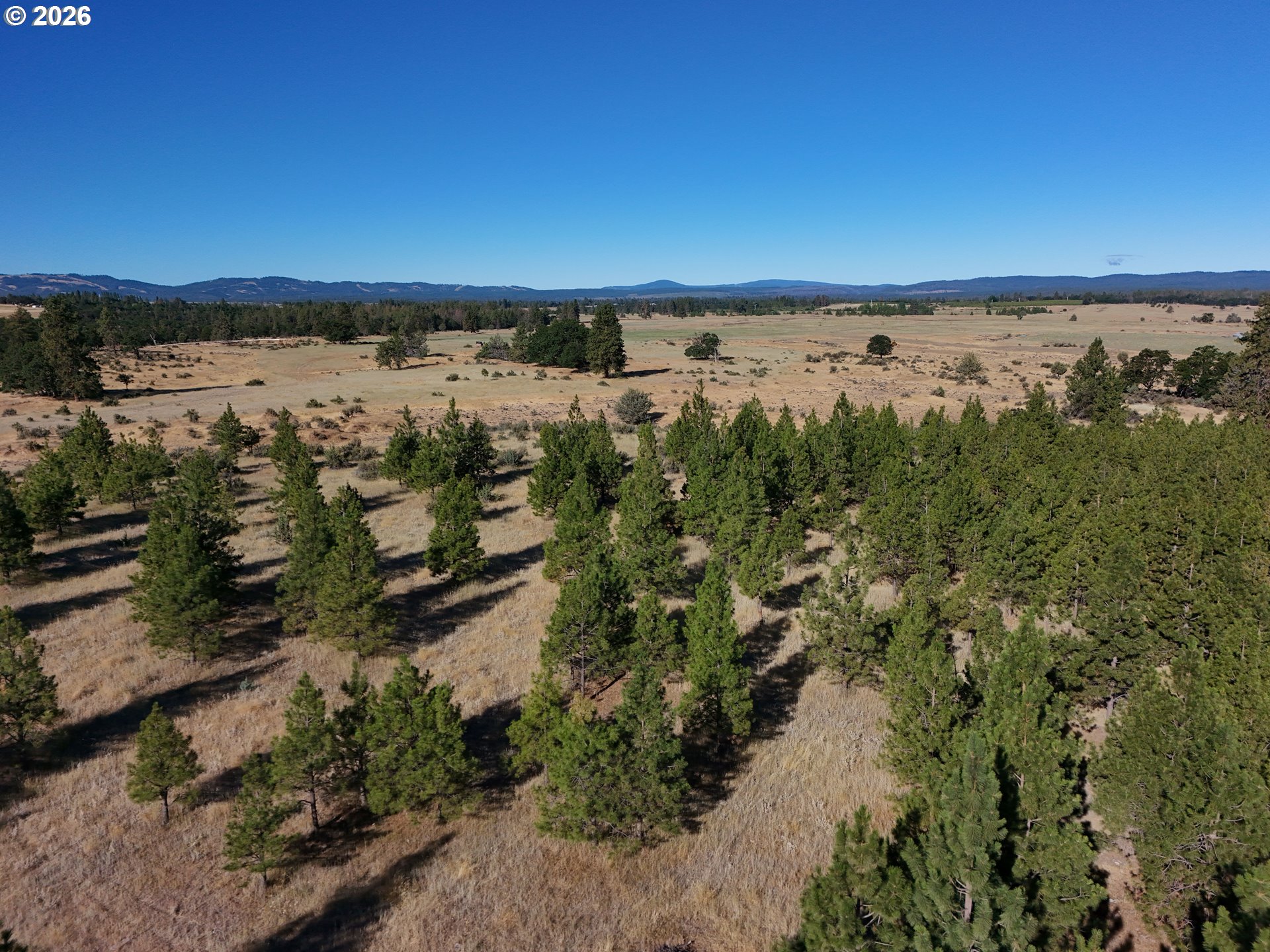 55363 Smock Road Tygh Valley, OR 97063 - Photo 32 of 48 Gallery Image 32